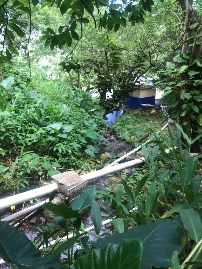 Fourth image of Fruitfulvale District, po in Fruitful Vale, Portland, Jamaica - property is For Sale