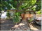 First image of 41 Homestead Road in Kingston 2, Kingston, Jamaica - property is For Sale