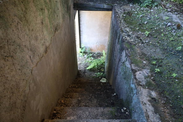 Twelfth image of Phoenix Park in Balaclava, St. Elizabeth, Jamaica - property is For Sale