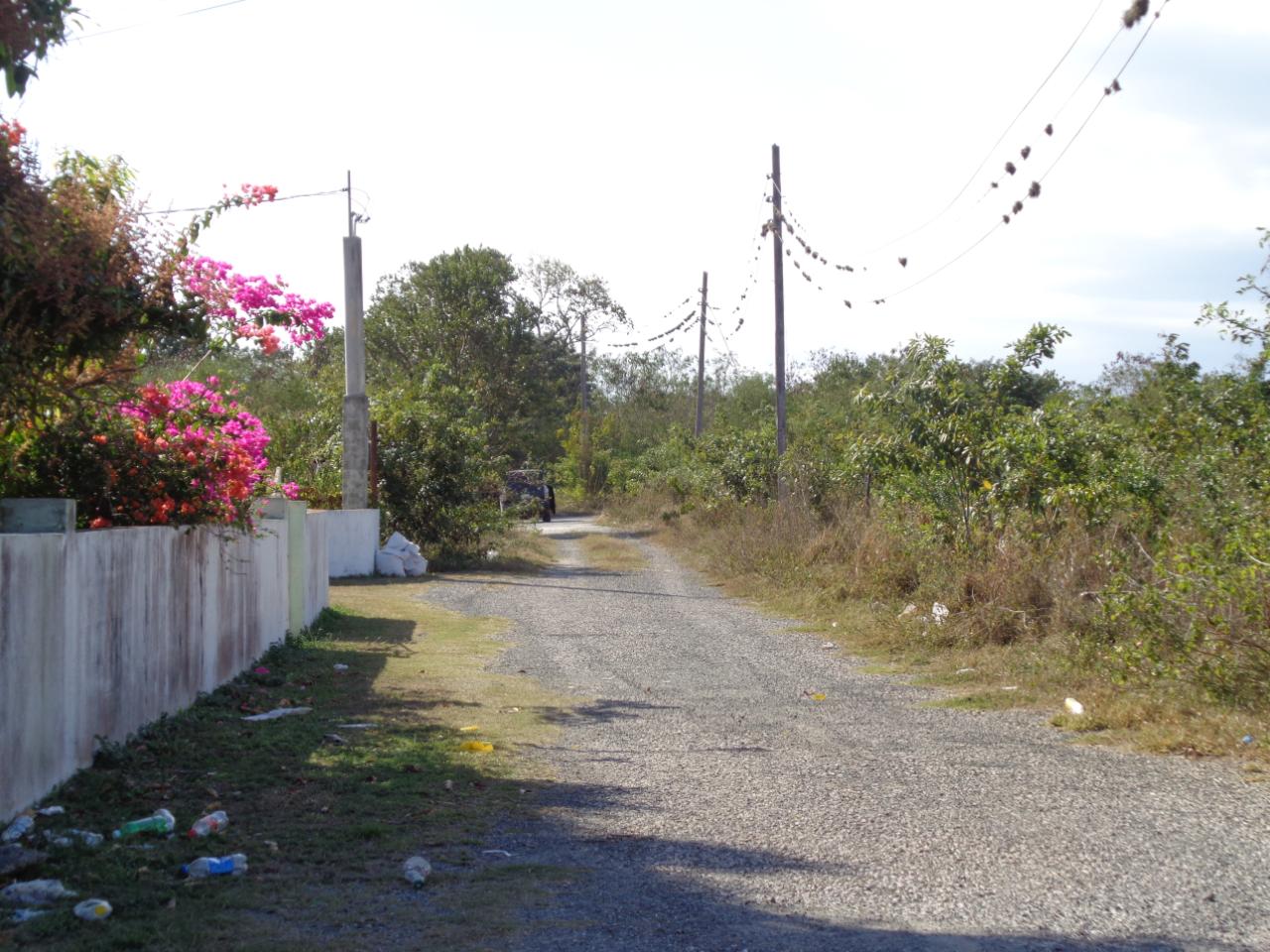 Fifteenth image of 5 Samms Court in Black River, St. Elizabeth, Jamaica - property is For Sale