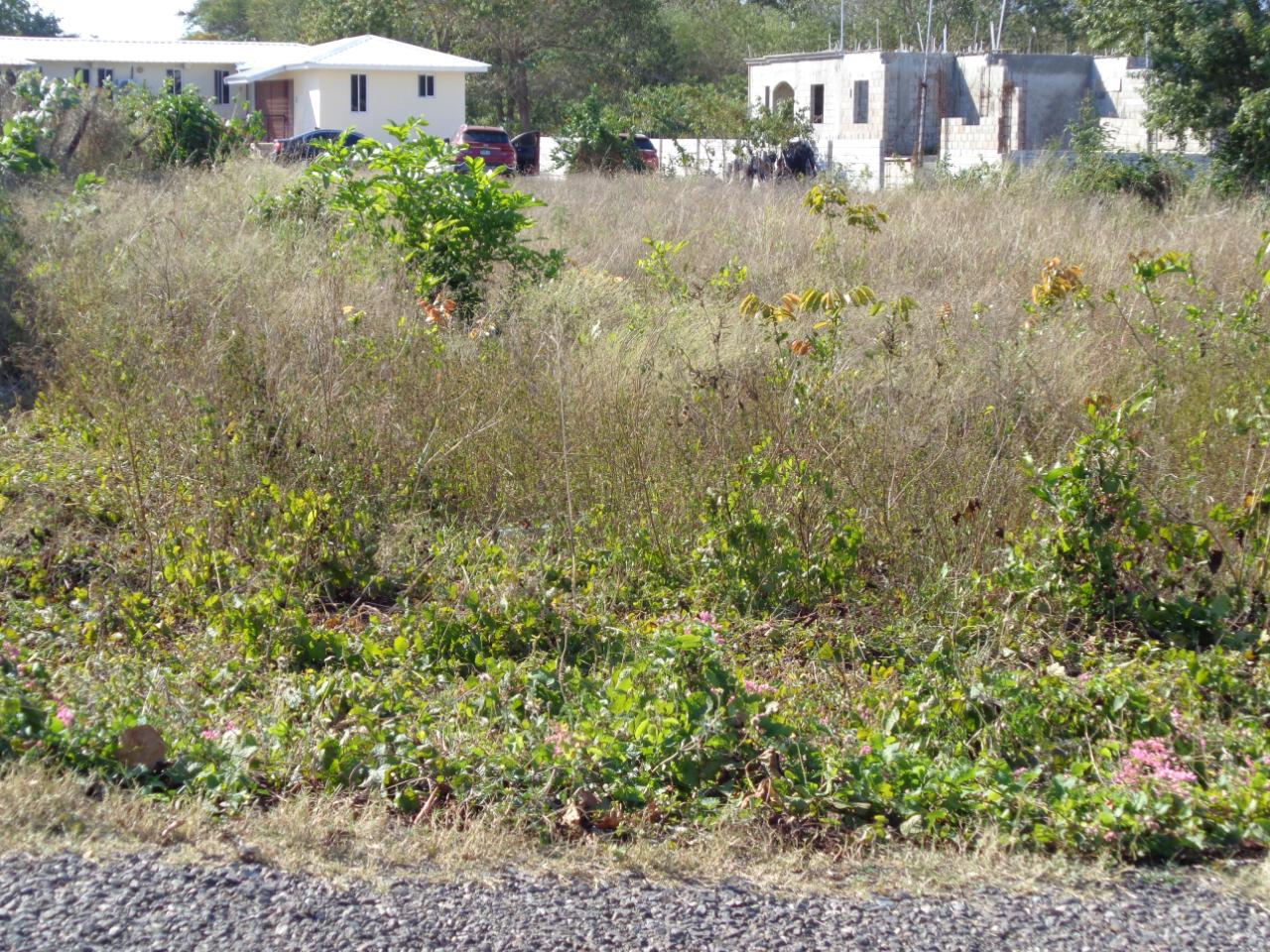 Seventeenth image of 5 Samms Court in Black River, St. Elizabeth, Jamaica - property is For Sale