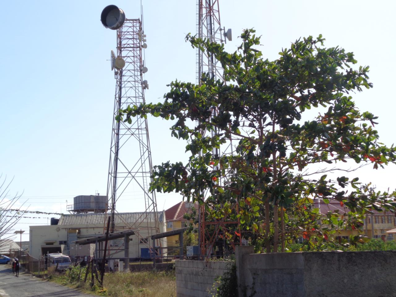 Twenty-First image of 5 Samms Court in Black River, St. Elizabeth, Jamaica - property is For Sale