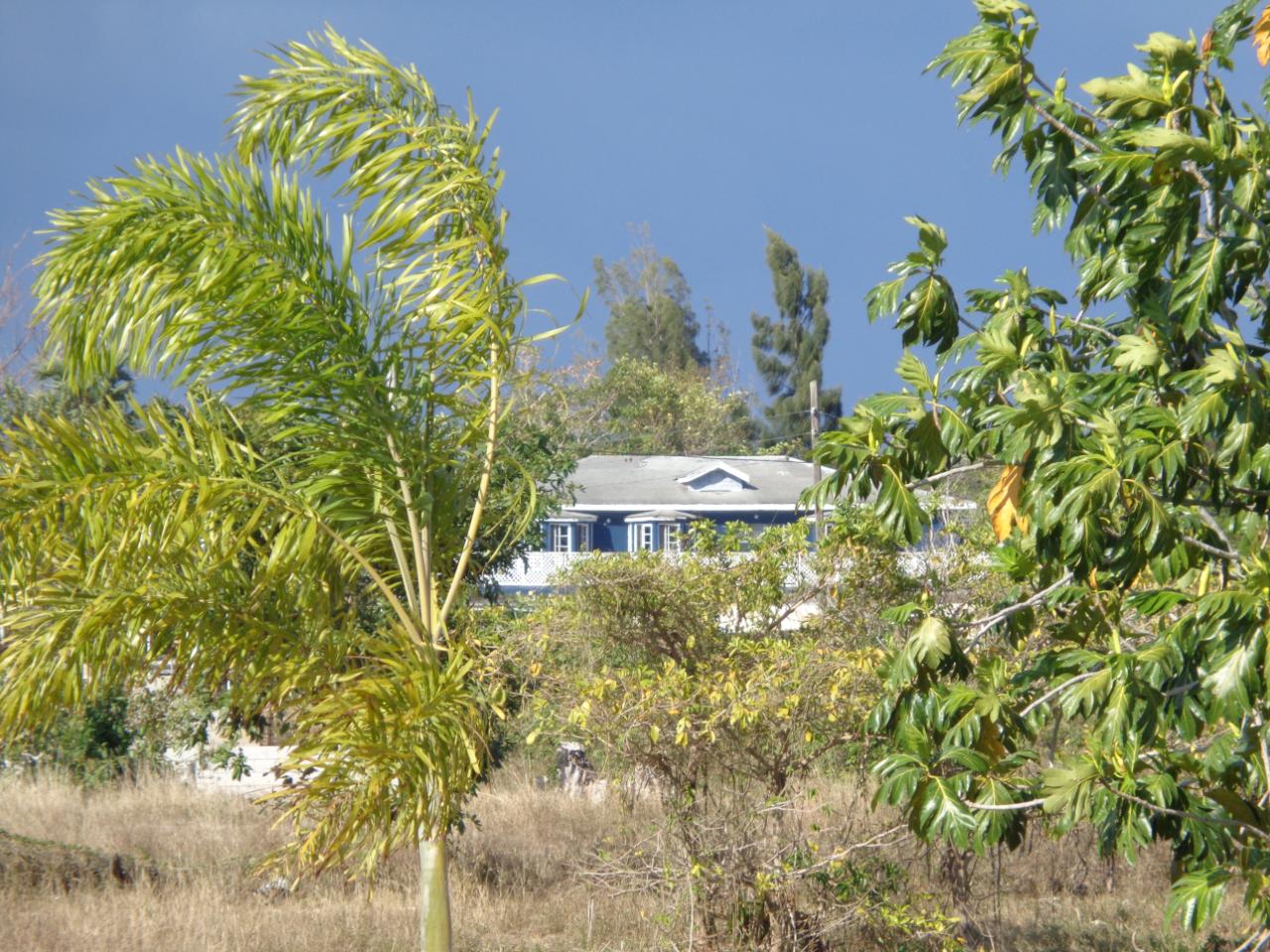 Twenty-Third image of 5 Samms Court in Black River, St. Elizabeth, Jamaica - property is For Sale
