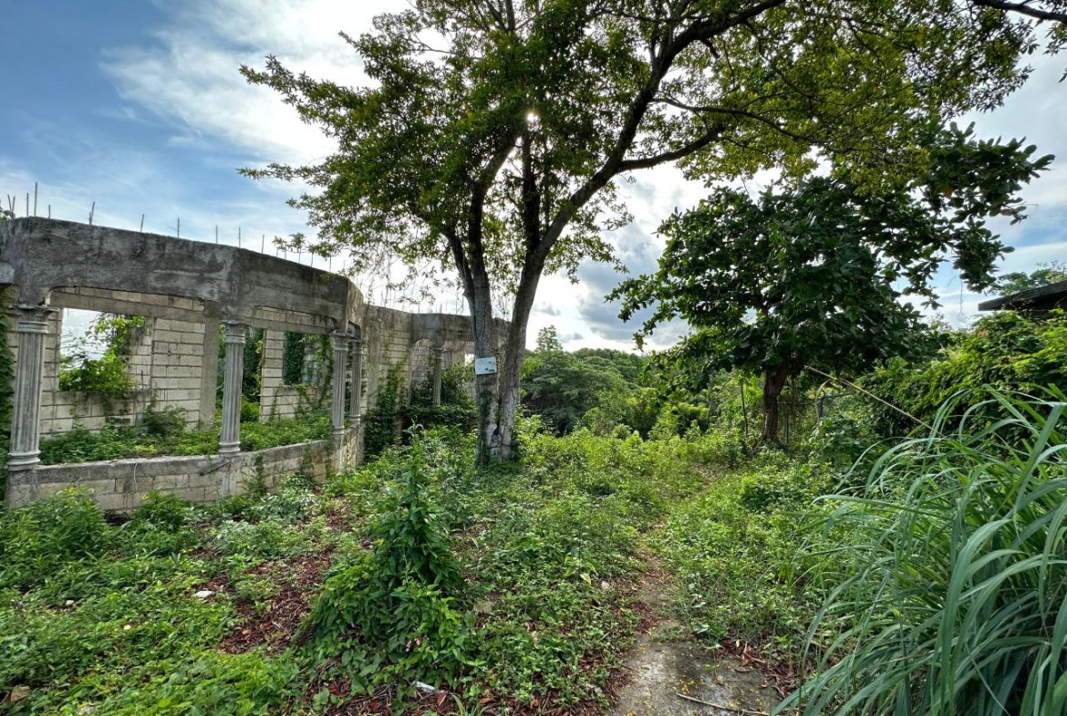 Eleventh image of 69 Huddersfield in Boscobel, St. Mary, Jamaica - property is For Sale