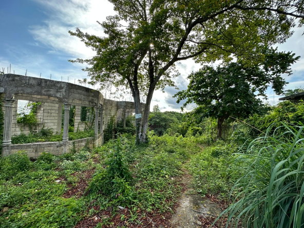 Eleventh image of 69 Huddersfield in Boscobel, St. Mary, Jamaica - property is For Sale