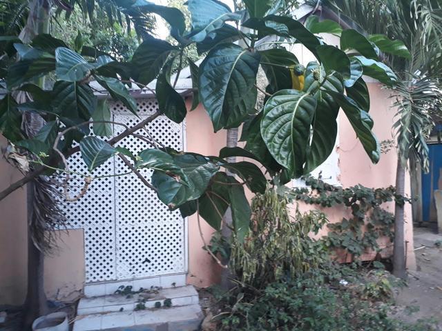 Second image of 3 Nugent Crescent in Spanish Town, St. Catherine, Jamaica - property is For Sale