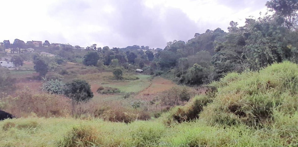 Second image of Lot 24 Denham Farm, Christiana, in Christiana, Manchester, Jamaica - property is For Sale