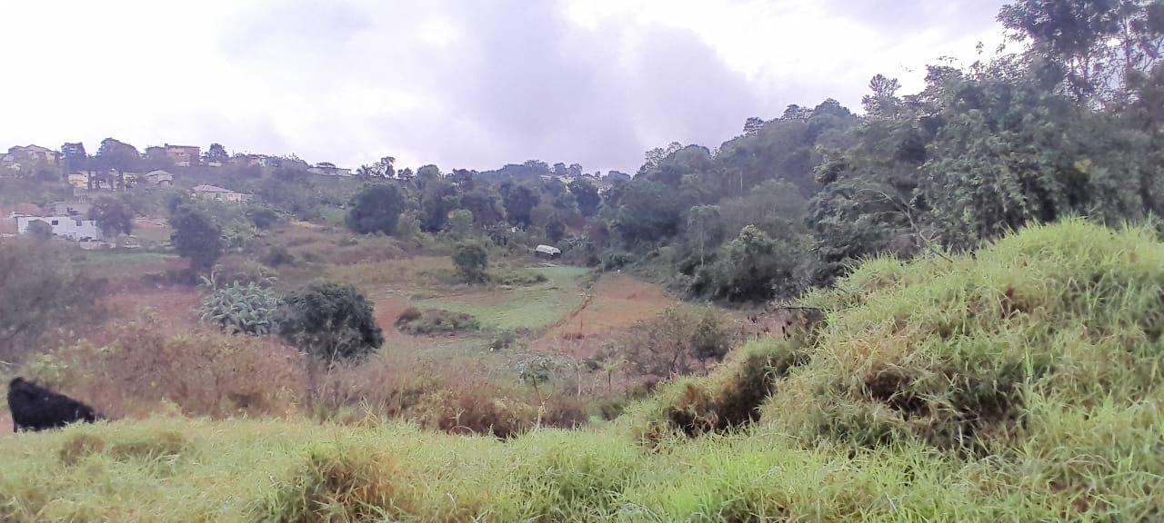 Second image of Lot 24 Denham Farm, Christiana, in Christiana, Manchester, Jamaica - property is For Sale