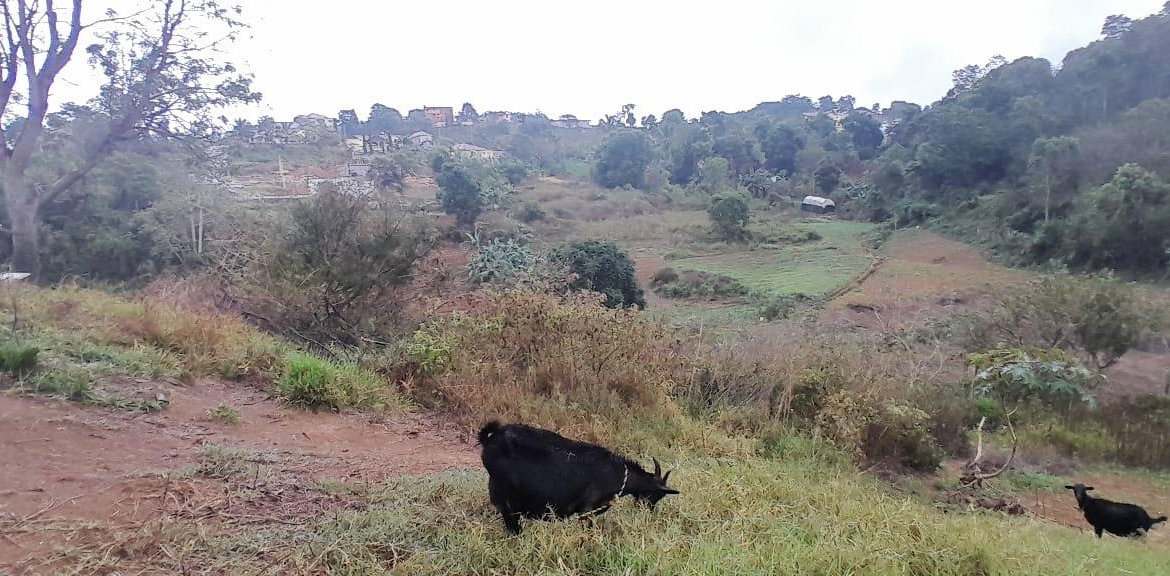 First image of Lot 24 Denham Farm, Christiana, in Christiana, Manchester, Jamaica - property is For Sale