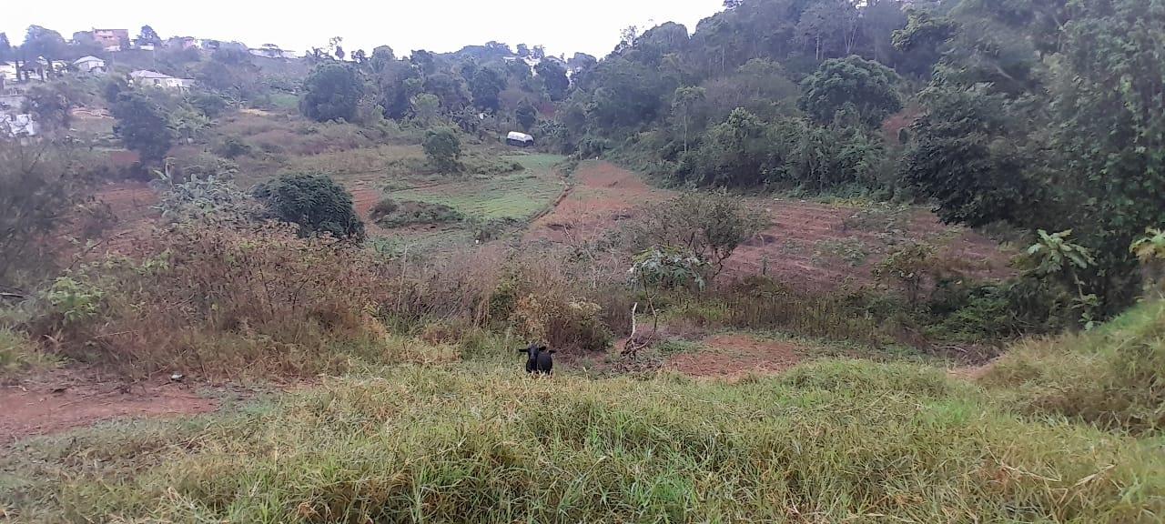 Third image of Lot 24 Denham Farm, Christiana, in Christiana, Manchester, Jamaica - property is For Sale