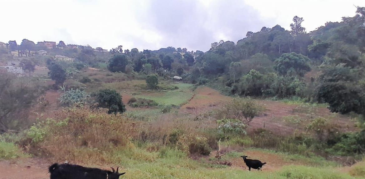 Fourth image of Lot 24 Denham Farm, Christiana, in Christiana, Manchester, Jamaica - property is For Sale