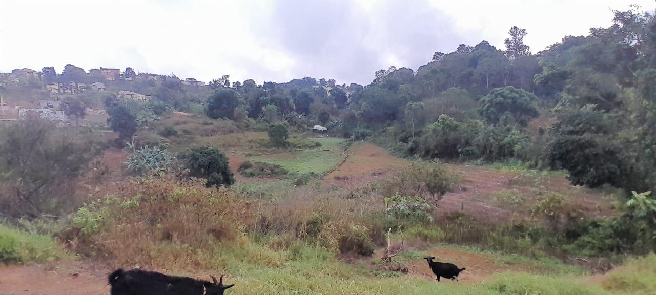 Fourth image of Lot 24 Denham Farm, Christiana, in Christiana, Manchester, Jamaica - property is For Sale