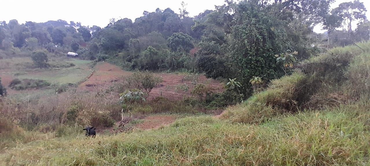 Sixth image of Lot 24 Denham Farm, Christiana, in Christiana, Manchester, Jamaica - property is For Sale