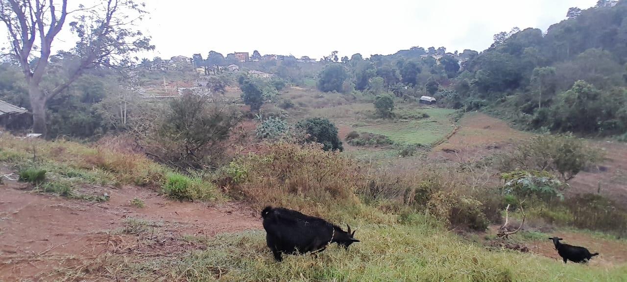 First image of Lot 24 Denham Farm, Christiana, in Christiana, Manchester, Jamaica - property is For Sale