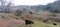 First image of Lot 24 Denham Farm, Christiana, in Christiana, Manchester, Jamaica - property is For Sale