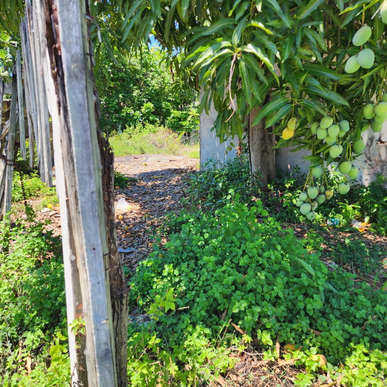 For-Sale-Prime-Lot-in-Cornwall-Gardens-St.-James-Ideal-for-Health-Professionals Third image of Lot 93 Cornwall Gardens in Mount Salem, St. James, Jamaica - property is For Sale