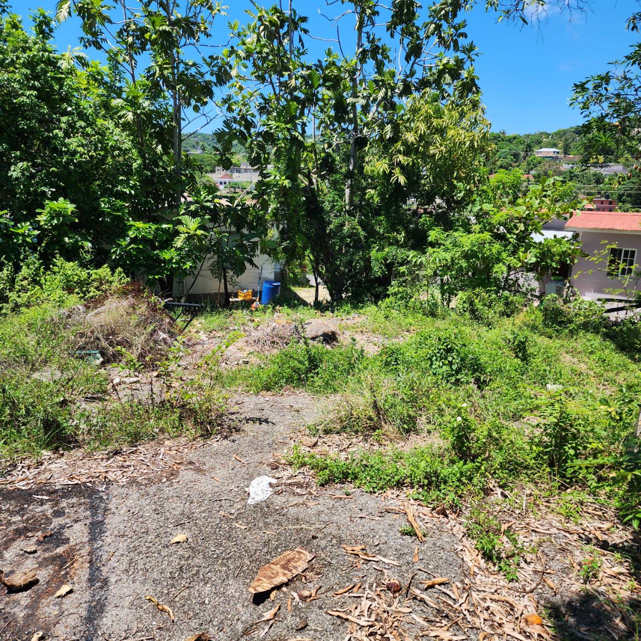 For-Sale-Prime-Lot-in-Cornwall-Gardens-St.-James-Ideal-for-Health-Professionals Sixth image of Lot 93 Cornwall Gardens in Mount Salem, St. James, Jamaica - property is For Sale