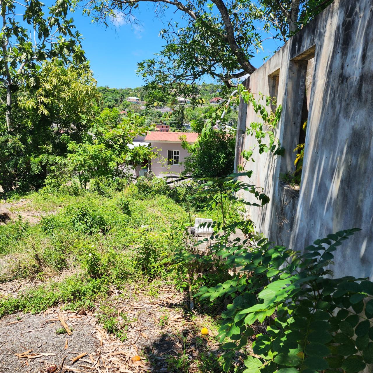 For-Sale-Prime-Lot-in-Cornwall-Gardens-St.-James-Ideal-for-Health-Professionals Seventh image of Lot 93 Cornwall Gardens in Mount Salem, St. James, Jamaica - property is For Sale