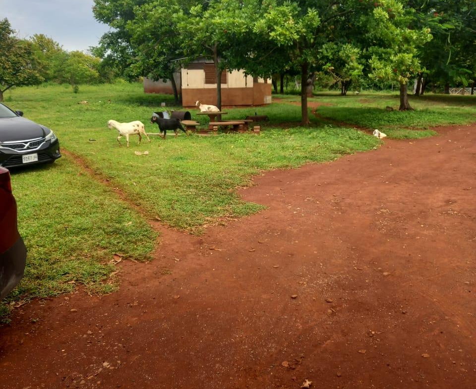 Second image of Dover, Guanaboa Vale P.o. in Guanaboa Vale, St. Catherine, Jamaica - property is For Sale