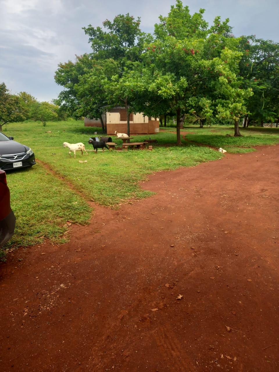 Second image of Dover, Guanaboa Vale P.o. in Guanaboa Vale, St. Catherine, Jamaica - property is For Sale