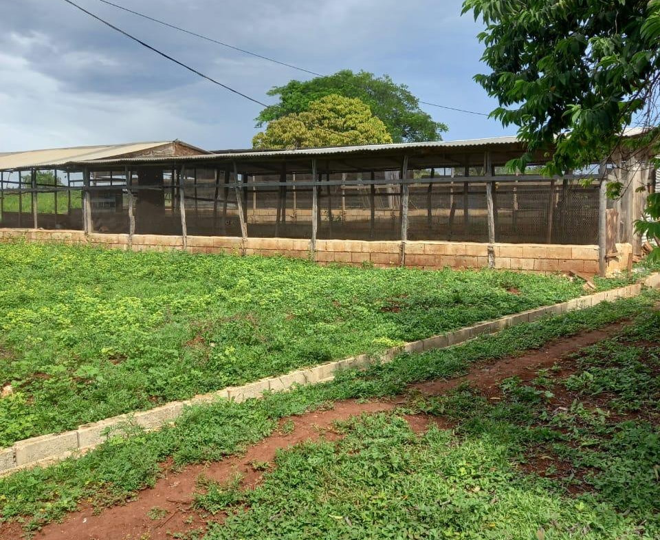 Fourth image of Dover, Guanaboa Vale P.o. in Guanaboa Vale, St. Catherine, Jamaica - property is For Sale