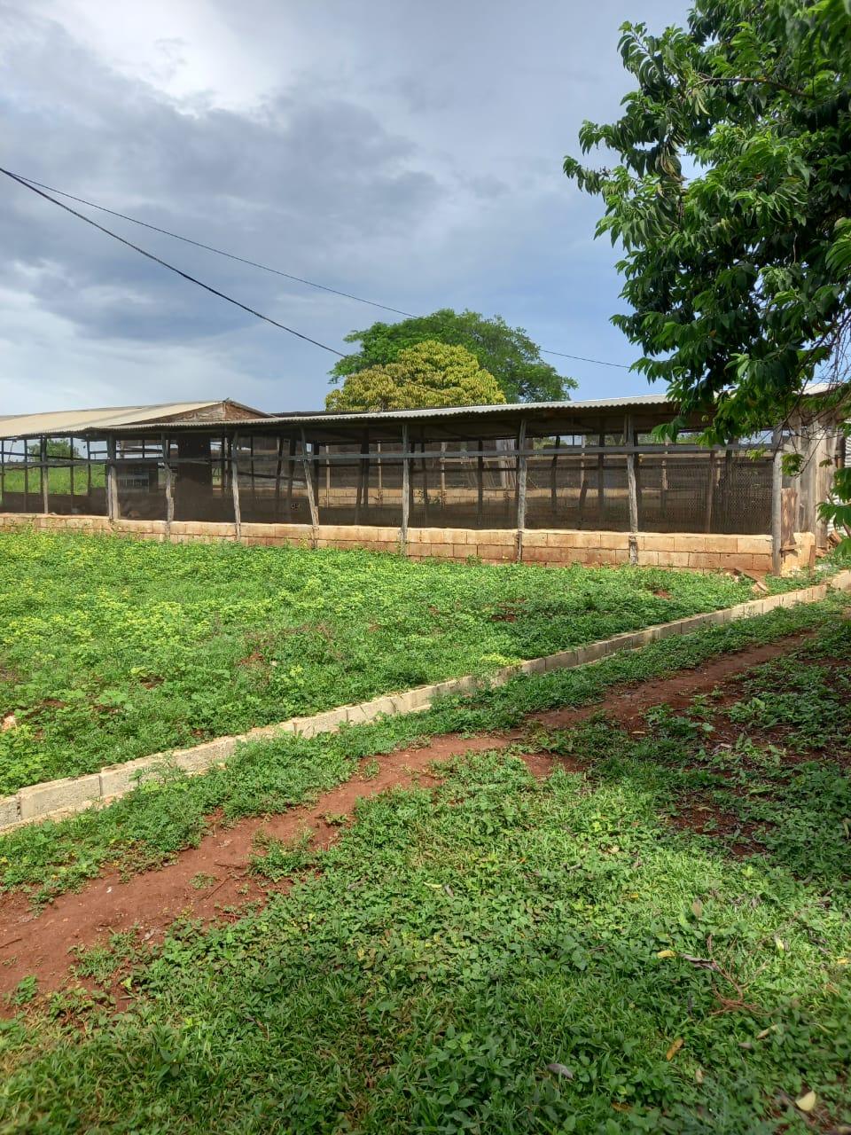 Fourth image of Dover, Guanaboa Vale P.o. in Guanaboa Vale, St. Catherine, Jamaica - property is For Sale
