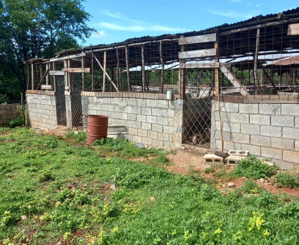 Fifth image of Dover, Guanaboa Vale P.o. in Guanaboa Vale, St. Catherine, Jamaica - property is For Sale