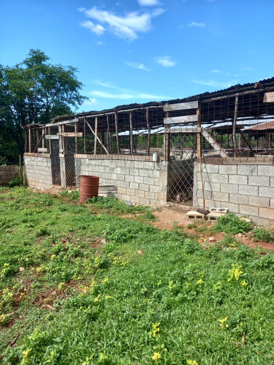 Fifth image of Dover, Guanaboa Vale P.o. in Guanaboa Vale, St. Catherine, Jamaica - property is For Sale