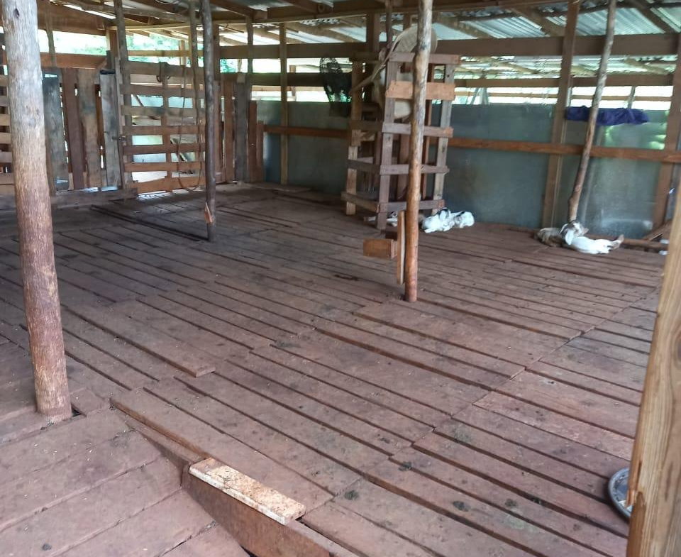 Sixth image of Dover, Guanaboa Vale P.o. in Guanaboa Vale, St. Catherine, Jamaica - property is For Sale