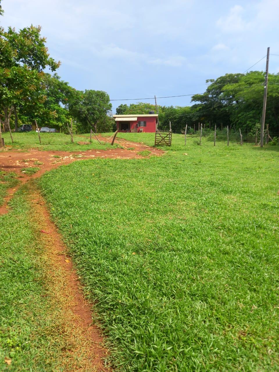 Seventh image of Dover, Guanaboa Vale P.o. in Guanaboa Vale, St. Catherine, Jamaica - property is For Sale