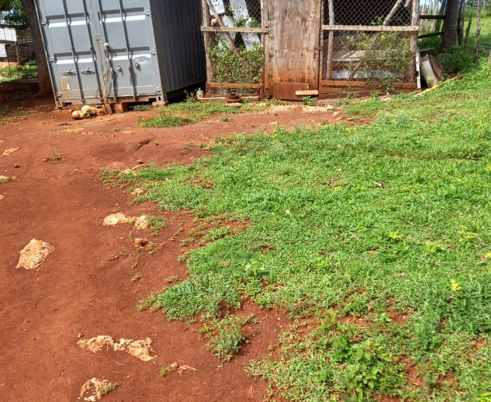 Eighth image of Dover, Guanaboa Vale P.o. in Guanaboa Vale, St. Catherine, Jamaica - property is For Sale
