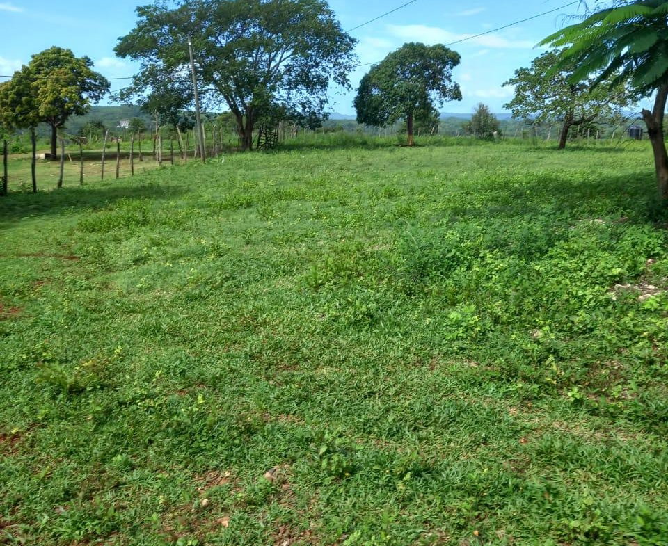 Ninth image of Dover, Guanaboa Vale P.o. in Guanaboa Vale, St. Catherine, Jamaica - property is For Sale