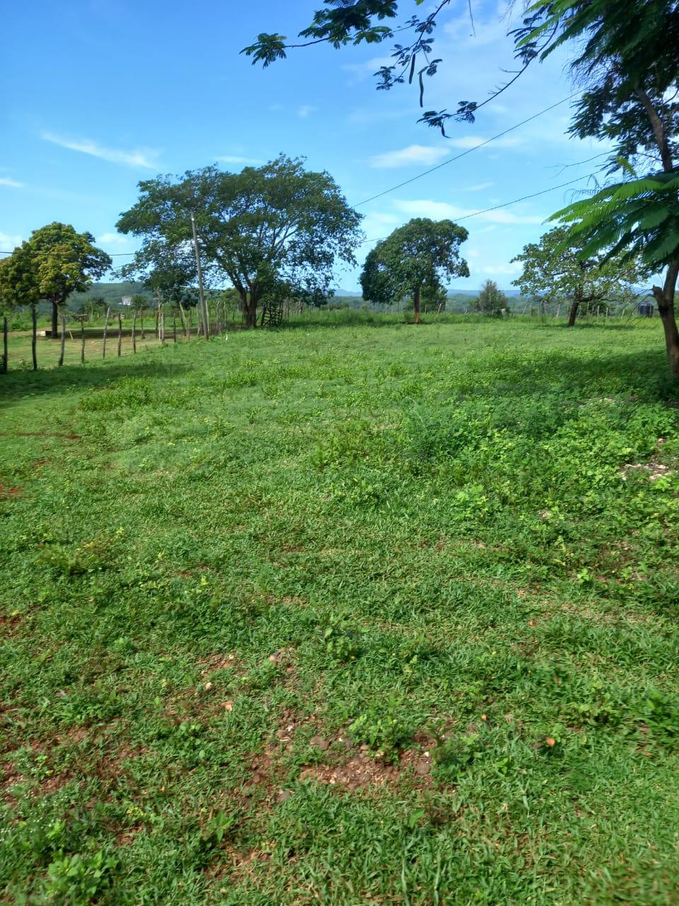 Ninth image of Dover, Guanaboa Vale P.o. in Guanaboa Vale, St. Catherine, Jamaica - property is For Sale