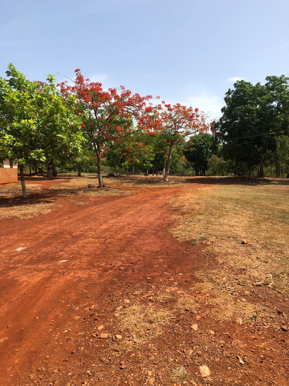 First image of Dover, Guanaboa Vale P.o. in Guanaboa Vale, St. Catherine, Jamaica - property is For Sale