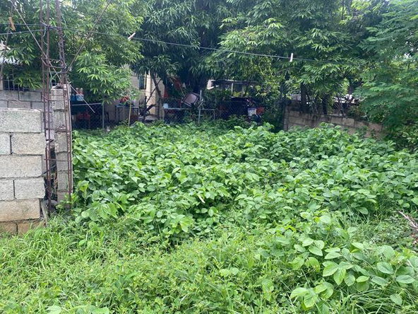 Fourth image of 46 Almond Drive in Albion, St. Thomas, Jamaica - property is For Sale