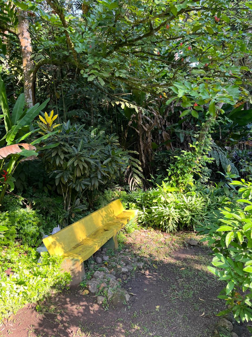 Fifth image of John's Hall in Johns Hall, St. James, Jamaica - property is For Sale