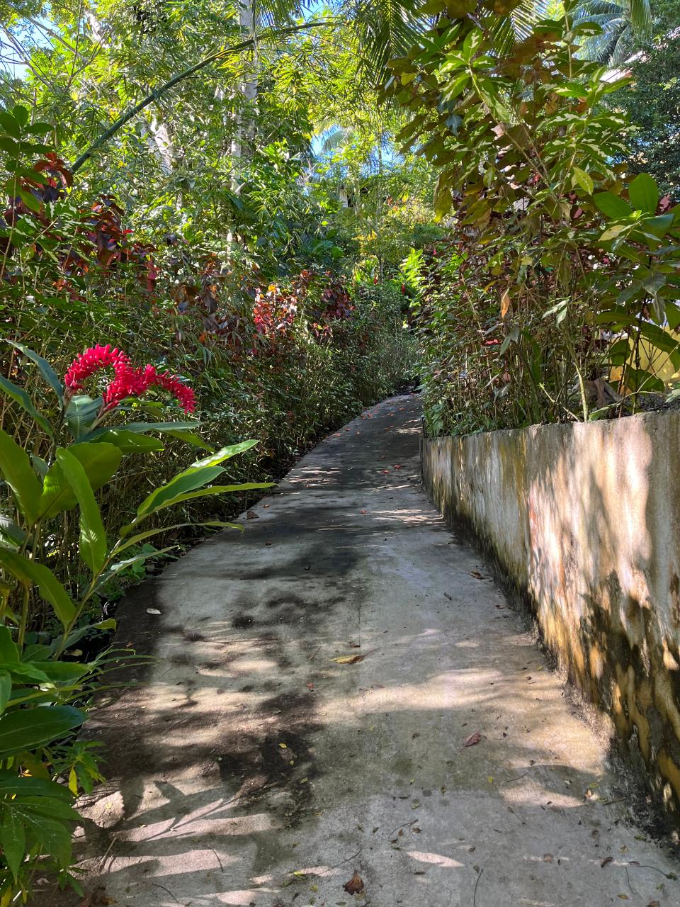 Sixth image of John's Hall in Johns Hall, St. James, Jamaica - property is For Sale