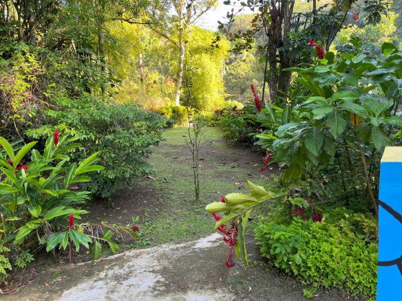 First image of John's Hall in Johns Hall, St. James, Jamaica - property is For Sale