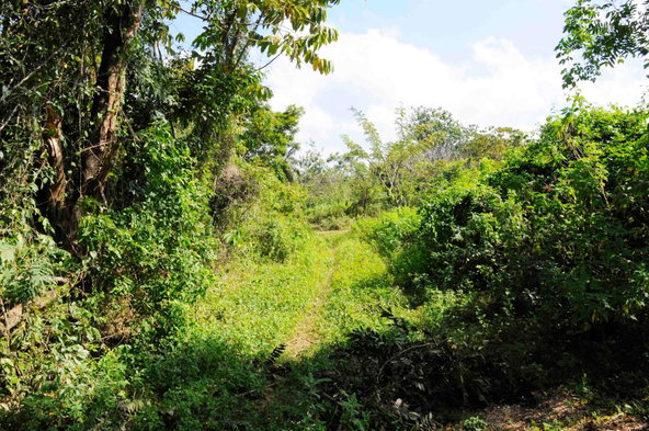Seventh image of 490 Retirement in Retirement, St. James, Jamaica - property is For Sale