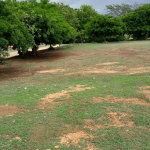 First image of Clarendon Park, Toll Gate in Toll Gate, Clarendon, Jamaica - property is For Sale