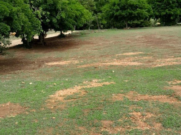 First image of Clarendon Park, Toll Gate in Toll Gate, Clarendon, Jamaica - property is For Sale