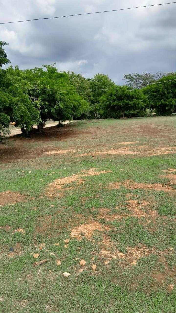 First image of Clarendon Park, Toll Gate in Toll Gate, Clarendon, Jamaica - property is For Sale