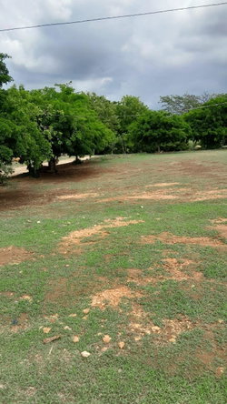First image of Clarendon Park, Toll Gate in Toll Gate, Clarendon, Jamaica - property is For Sale