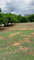First image of Clarendon Park, Toll Gate in Toll Gate, Clarendon, Jamaica - property is For Sale