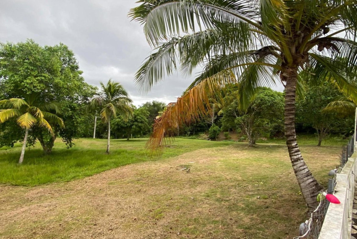 Twenty-First image of Friendship Islington, St. Mary in Islington, St. Mary, Jamaica - property is For Sale