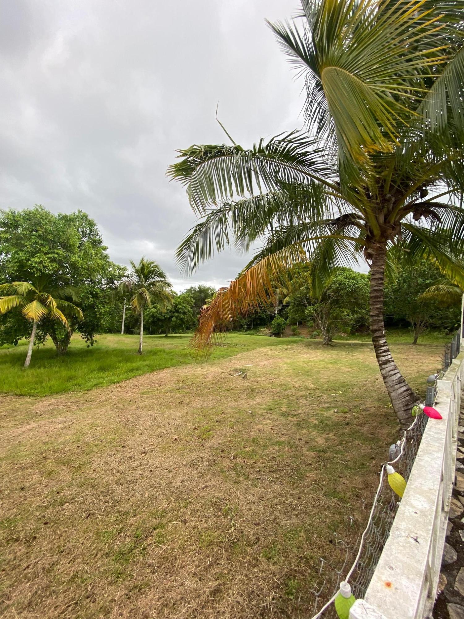 Friendship-Estate-Luxurious-7-Acre-Property-in-St.-Mary-Jamaica Twenty-First image of Friendship Islington, St. Mary in Islington, St. Mary, Jamaica - property is For Sale