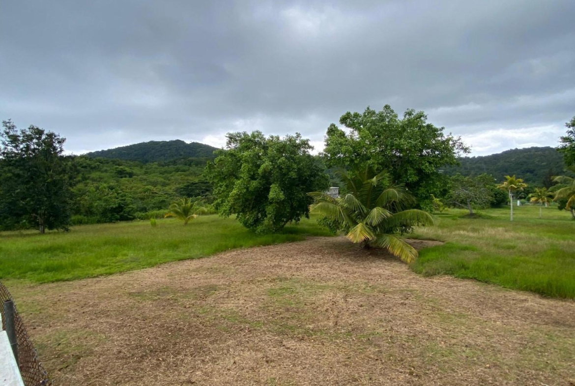 Twenty-Second image of Friendship Islington, St. Mary in Islington, St. Mary, Jamaica - property is For Sale