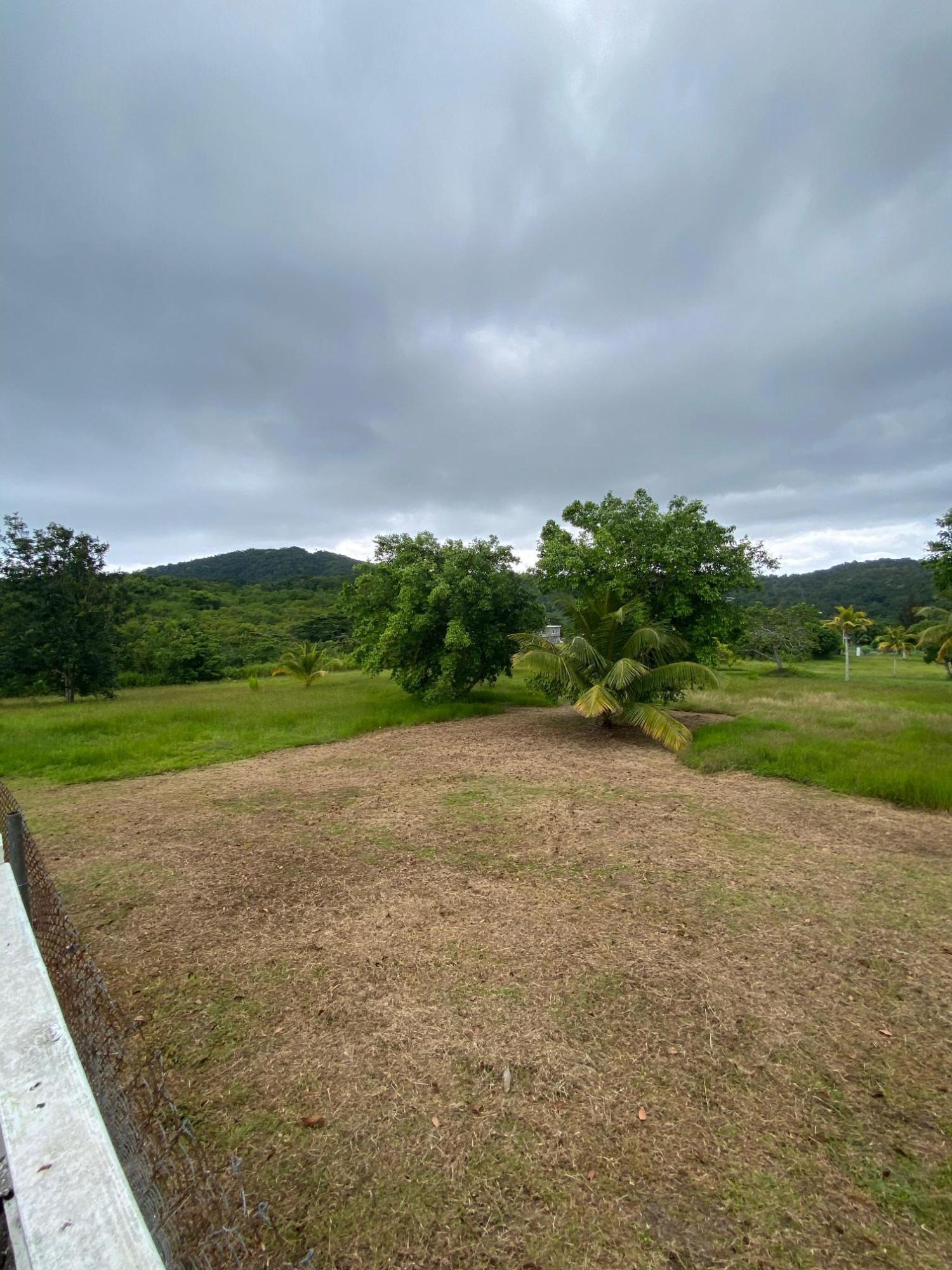 Friendship-Estate-Luxurious-7-Acre-Property-in-St.-Mary-Jamaica Twenty-Second image of Friendship Islington, St. Mary in Islington, St. Mary, Jamaica - property is For Sale