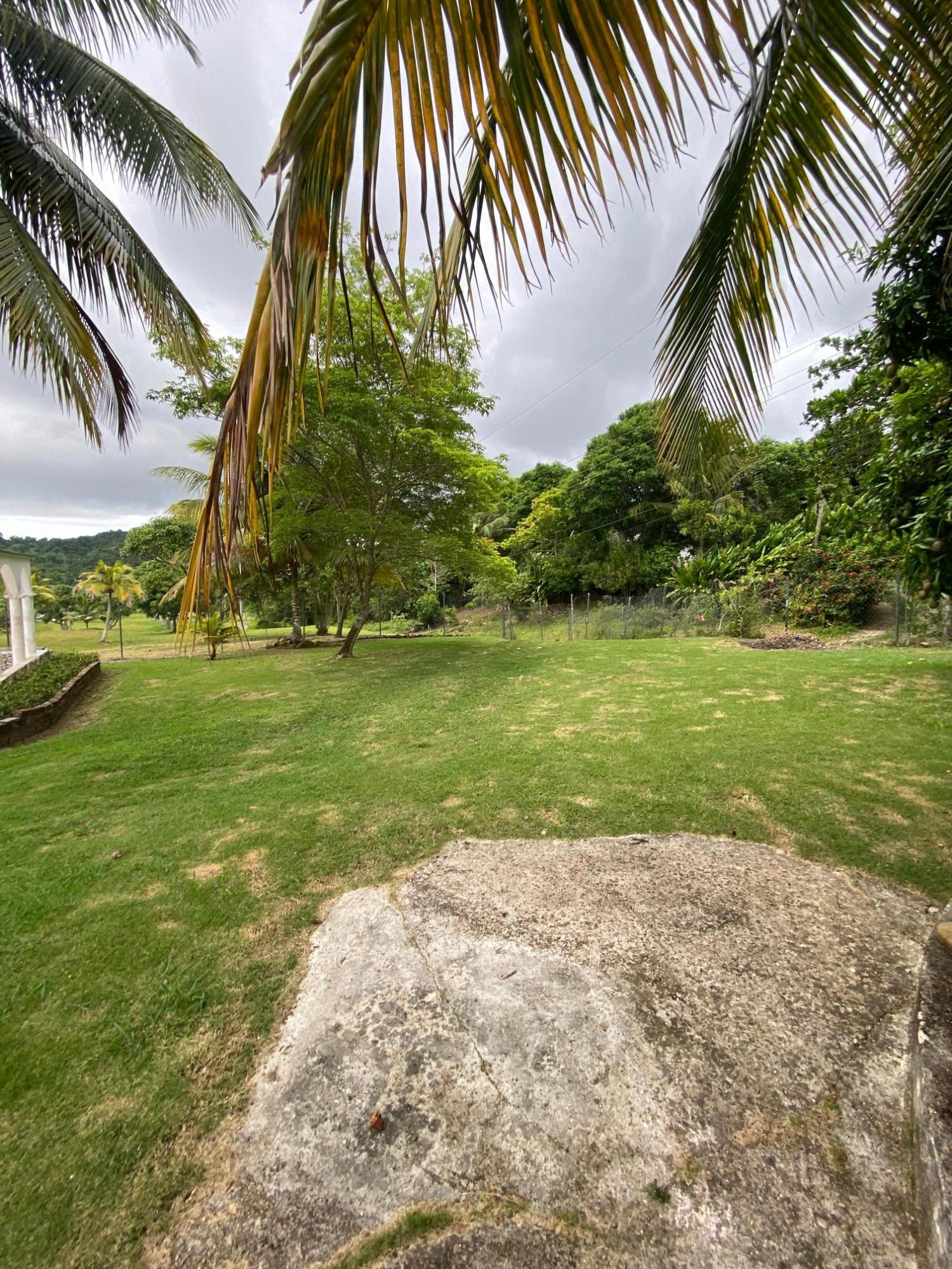 Friendship-Estate-Luxurious-7-Acre-Property-in-St.-Mary-Jamaica Twenty-Seventh image of Friendship Islington, St. Mary in Islington, St. Mary, Jamaica - property is For Sale