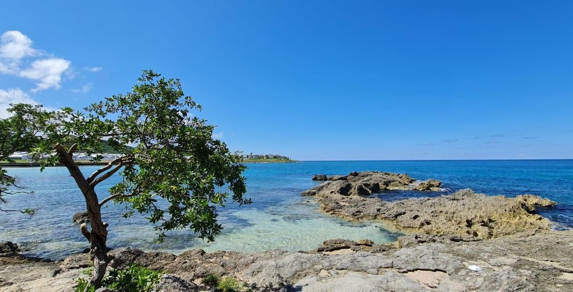 Twenty-Fifth image of 95- Oceanpointe in Lucea, Hanover, Jamaica - property is For Rent